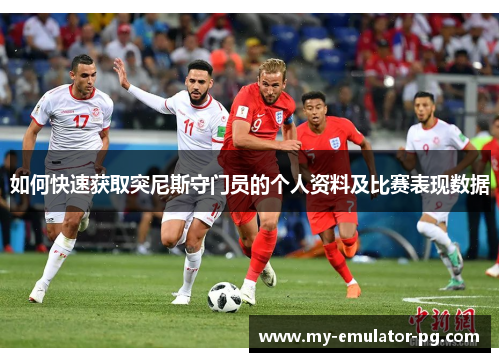 如何快速获取突尼斯守门员的个人资料及比赛表现数据