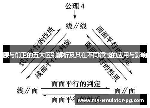 腰与前卫的五大区别解析及其在不同领域的应用与影响