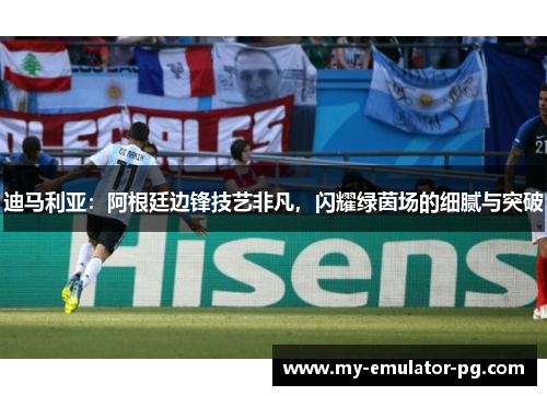 迪马利亚：阿根廷边锋技艺非凡，闪耀绿茵场的细腻与突破
